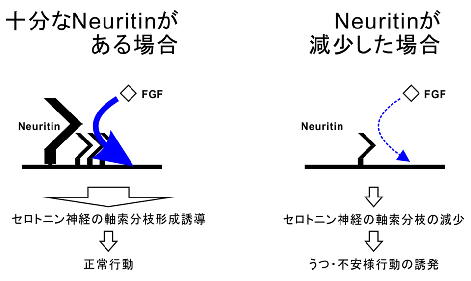 図2