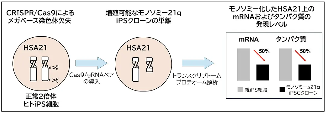 ＜参考図＞