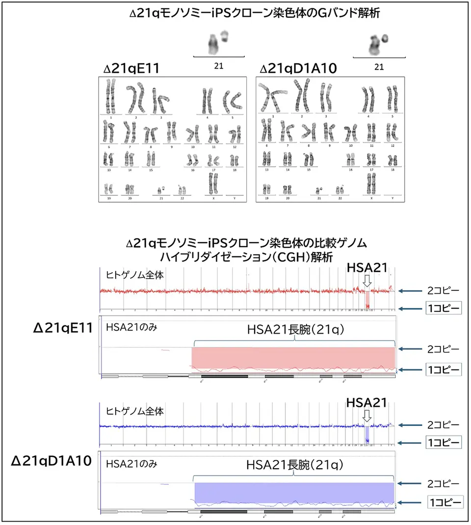 図4