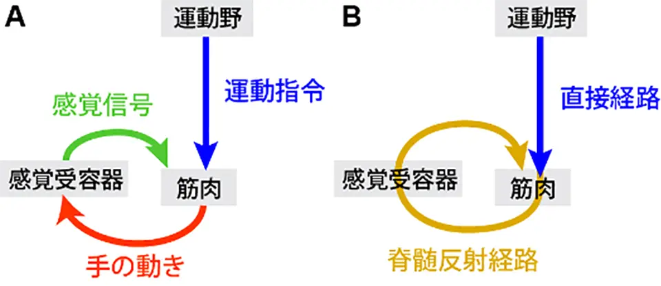 図2