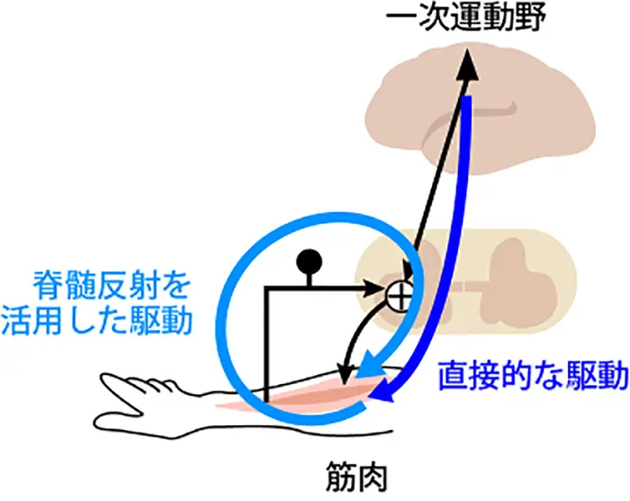 図5