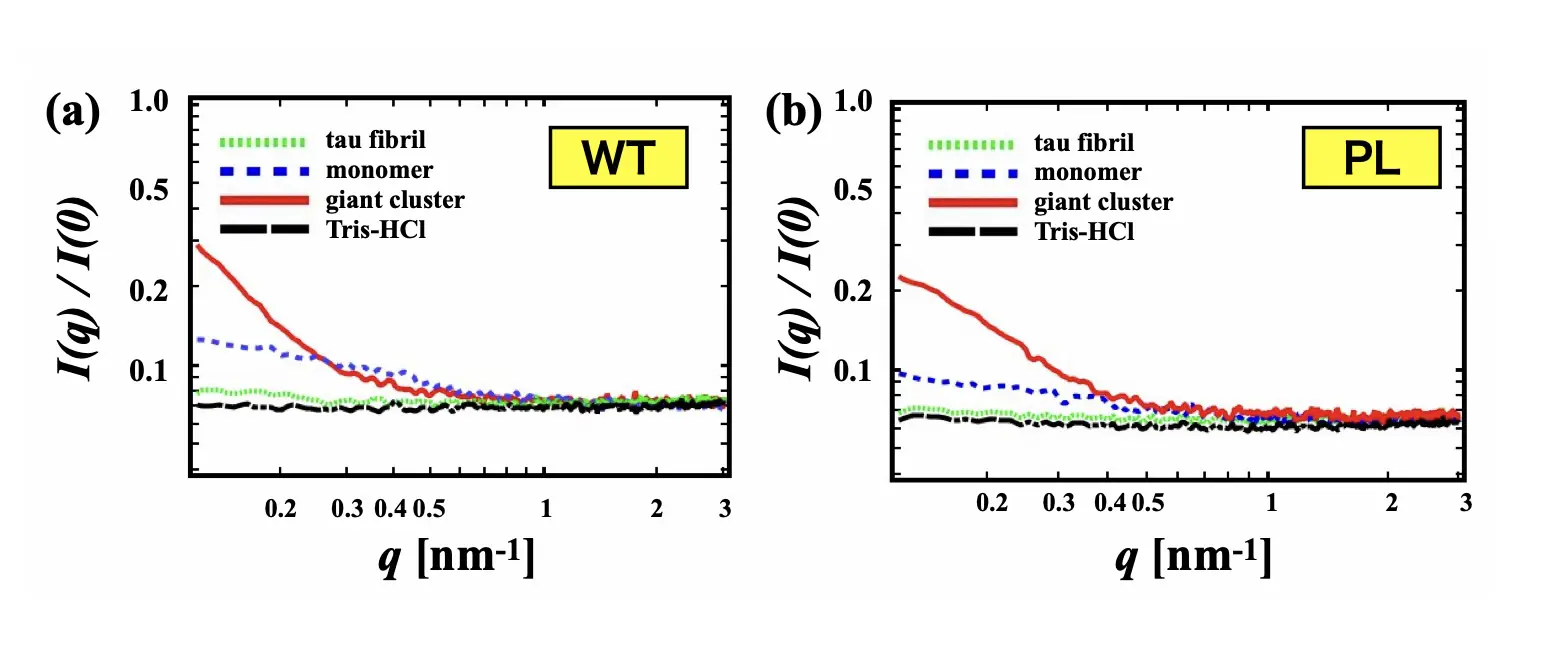 図2.野生型（WT）と変異型（P301L）のX線小角散乱の結果。ヘパリンを入れると、小角（qの小さい方）の散乱が大きくなっていることがわかった。これが前駆体クラスターに対応している。