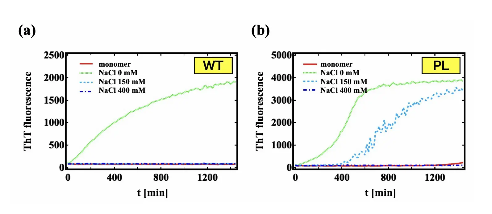 図3.チオフラビンT(ThT)蛍光測定の結果。NaClを添加すると、野生型では線維化しなくなり、変異型でも線維化がかなり抑制されることがわかった。