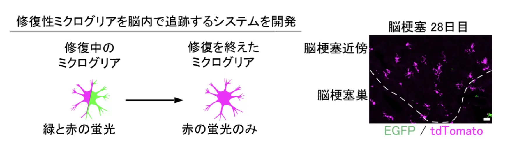 図2