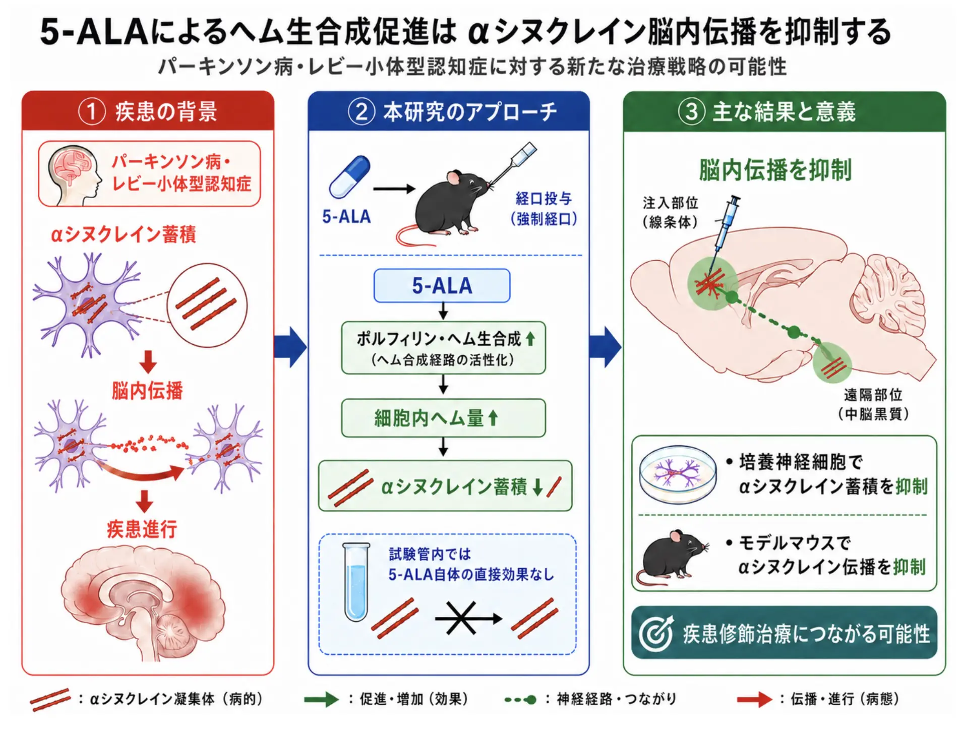 本研究の概要図